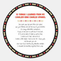 Funny Things I Learned From Cavalier King Charles Round Stickers