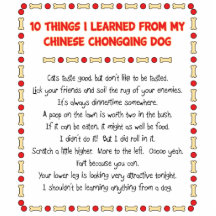 Funny Things I Learned From Chinese Chongqing Dog Acrylic Cut Out