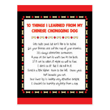 Funny Things I Learned From Chinese Chongqing Dog Postcard