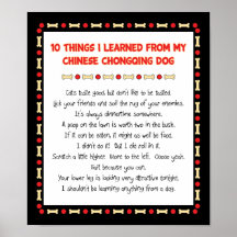 Funny Things I Learned From Chinese Chongqing Dog Print