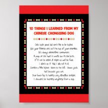 Funny Things I Learned From Chinese Chongqing Dog Poster