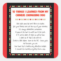Funny Things I Learned From Chinese Chongqing Dog Square Sticker