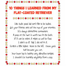 Funny Things I Learned From Flat-Coated Retriever Photo Sculptures