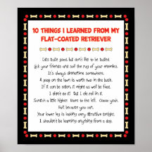 Funny Things I Learned From Flat-Coated Retriever Poster
