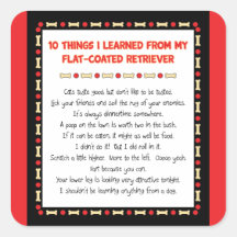 Funny Things I Learned From Flat-Coated Retriever Square Stickers