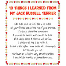 Funny Things I Learned From Jack Russell Terrier Photo Cutouts