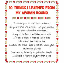 Funny Things I Learned From My Afghan Hound Photo Cut Outs