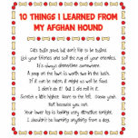 Funny Things I Learned From My Afghan Hound photo sculptures