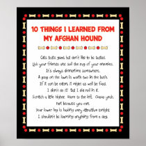 Funny Things I Learned From My Afghan Hound Posters