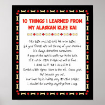 Funny Things I Learned From My Alaskan Klee Kai Poster