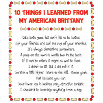 Funny Things I Learned From My American Brittany Photo Sculptures