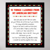 Funny Things I Learned From My American Brittany Print