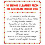 Funny Things I Learned From My American Eskimo Dog photo sculptures