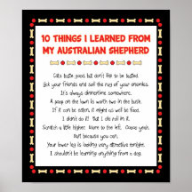 Funny Things I Learned From My Australian Shepherd Poster