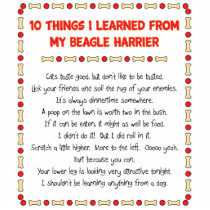 Funny Things I Learned From My Beagle Harrier Photo Cutout
