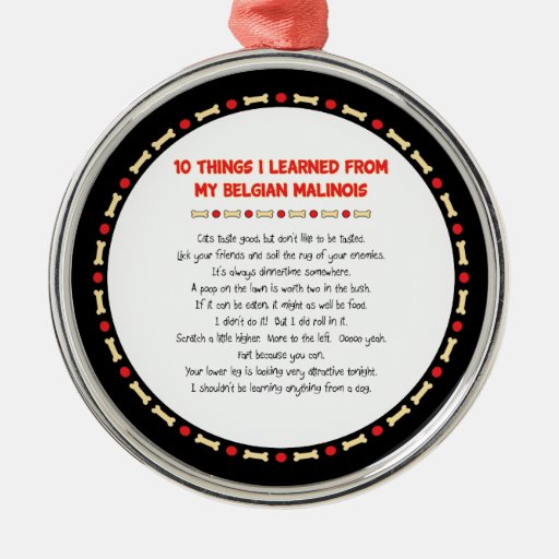Funny Things I Learned From My Belgian Malinois Christmas Tree Ornaments