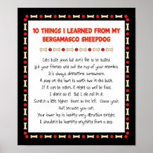 Funny Things I Learned From My Bergamasco Sheepdog Posters