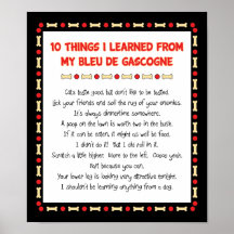 Funny Things I Learned From My Bleu de Gascogne Posters