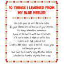 Funny Things I Learned From My Blue Heeler photo sculptures