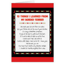 Funny Things I Learned From My Border Terrier Cards