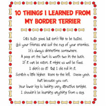 Funny Things I Learned From My Border Terrier Photo Cut Outs