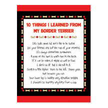 Funny Things I Learned From My Border Terrier Postcards