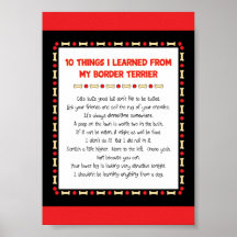 Funny Things I Learned From My Border Terrier Poster