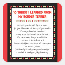 Funny Things I Learned From My Border Terrier Square Stickers