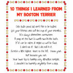 Funny Things I Learned From My Boston Terrier photo sculptures