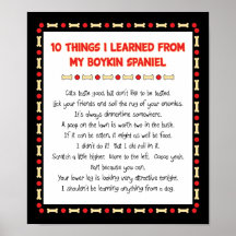 Funny Things I Learned From My Boykin Spaniel Print