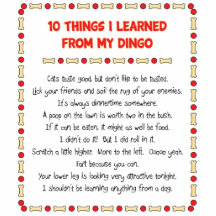 Funny Things I Learned From My Dingo Photo Cutouts