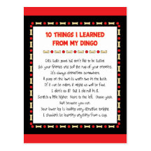 Funny Things I Learned From My Dingo Postcards