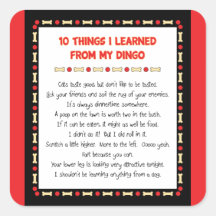 Funny Things I Learned From My Dingo Square Sticker