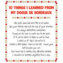 Funny Things I Learned From My Dogue de Bordeaux Photo Cutouts