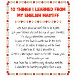 Funny Things I Learned From My English Mastiff Cut Out