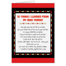 Funny Things I Learned From My Irish Terrier Cards