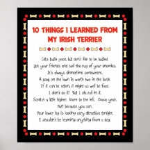 Funny Things I Learned From My Irish Terrier Print