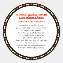 Funny Things I Learned From My Large Münsterländer Stickers