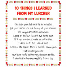 Funny Things I Learned From My Lurcher Photo Cutouts