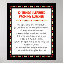 Funny Things I Learned From My Lurcher Poster