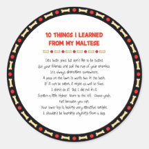 Funny Things I Learned From My Maltese Stickers
