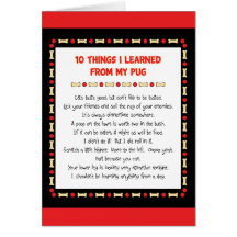 Funny Things I Learned From My Pug Cards