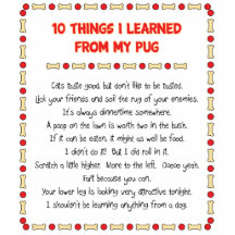 Funny Things I Learned From My Pug Photo Cutouts