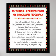Funny Things I Learned From My Rhodesian Ridgeback Posters
