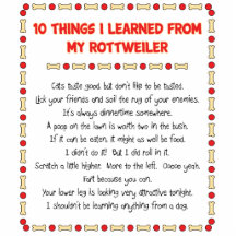 Funny Things I Learned From My Rottweiler Photo Cutout