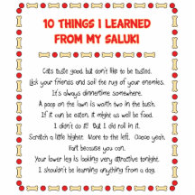 Funny Things I Learned From My Saluki Acrylic Cut Outs