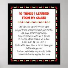 Funny Things I Learned From My Saluki Poster