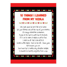 Funny Things I Learned From My Vizsla Postcards