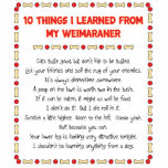 Funny Things I Learned From My Weimaraner photo sculptures