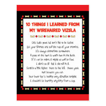 Funny Things I Learned From My Wirehaired Vizsla Post Card